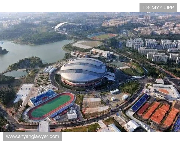 广州极限运动队个人能力表现数据分析与提升策略探讨