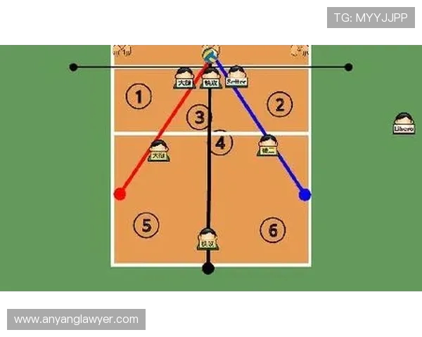 杭州排球队反击战术解析与未来发展展望
