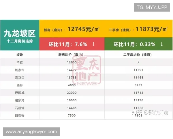 重庆篮球队的蜕变与未来展望解析篮球热点动态